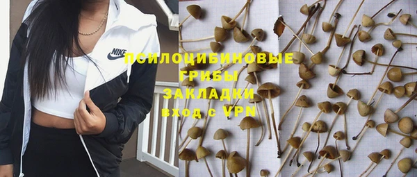 бошки Абаза