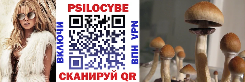 Псилоцибиновые грибы Psilocybine cubensis  ссылка на мегу   Болохово 