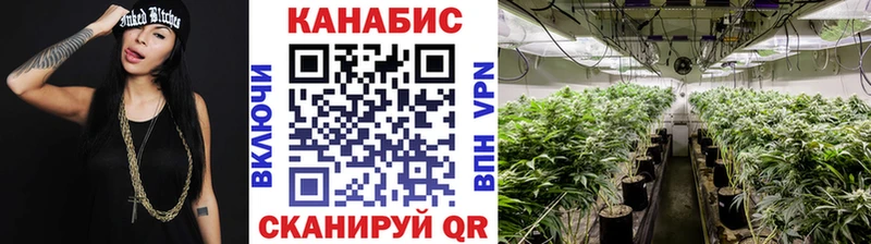 Бошки Шишки тримм  Болохово 